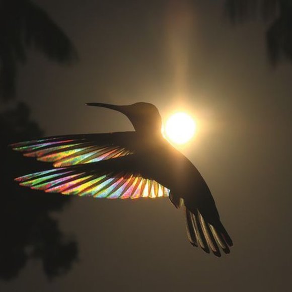 Hi there, I'm Lola! - Picture 3 of 4